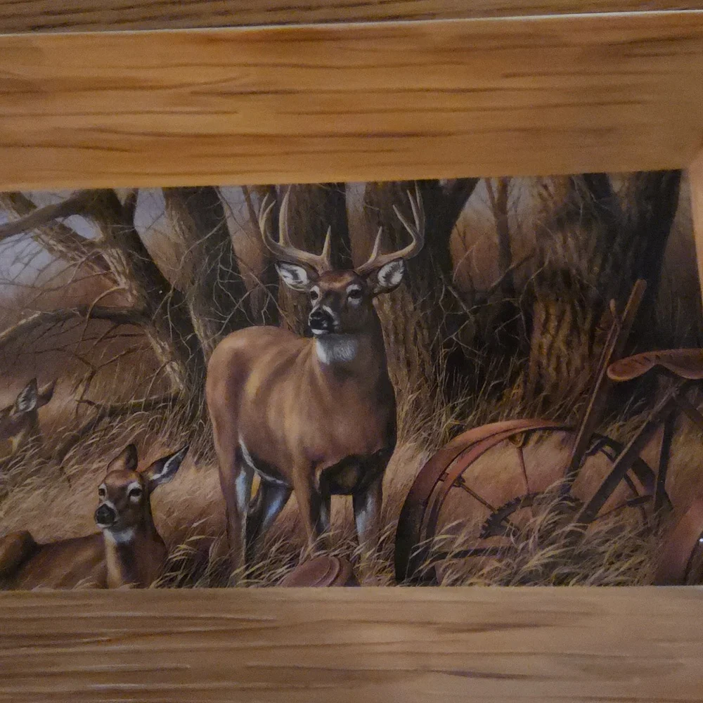 Wild Wings Rustic Retreat-Whitetail Deer Tray Original By Rosemary Millett 15”